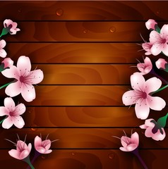 cherry blossom flowers on wood background