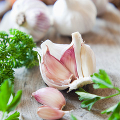 garlic