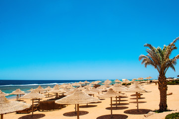 Beach umbrellas and deckchair on the tropical beach. Egypt.