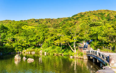 Obraz premium Maruyama Park in Kyoto, Japan