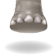 Fototapeta premium Leg adult elephants, mammoth and dinosaur with shadow on a white background in vector graphics