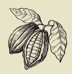 Fotobehang black cacao beans © bioraven