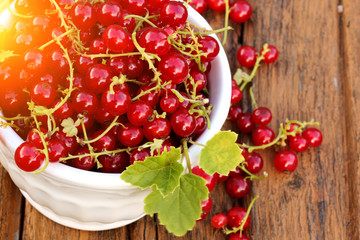 red currants white ceramic bowl old wooden background rustic style