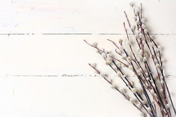 willow on a white vintage wooden background Spring composition Easter