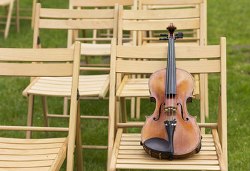 Violin. Violin outdoors. Live music. Wedding.Musician for the wedding.Violin under the open sky
