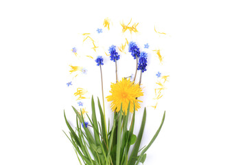 spring flowers on a white background vintage