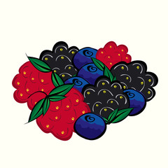 Ripe forest berries raspberries blueberries blackberries.