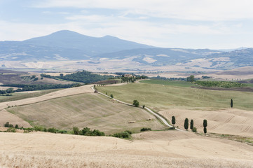 Campagna toscana 