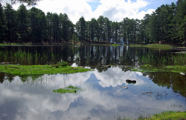 Corse, les eaux calmes du lac de montagne de Creno
