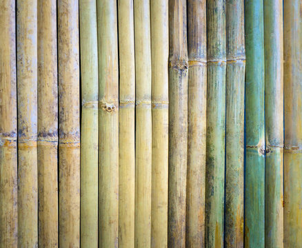 Cut a piece of green bamboo wood