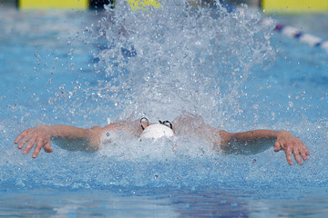 Nadador nadando mariposa en piscina de verano. Competición de natación. Estilo olímpico....