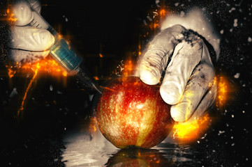 Gmo food concept