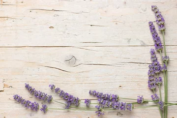 Crédence de cuisine en plexiglas Lavande Fresh lavender flowers