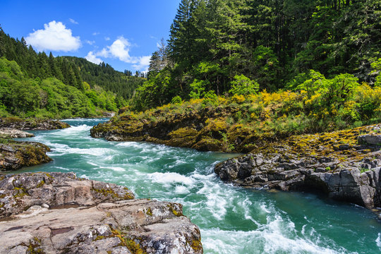 Mountain river and forest in North Cascades National Park, Washington,  USA