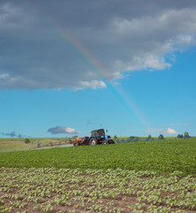 Fototapeta premium Spraying the field
