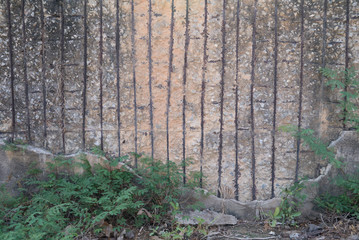 Wall in bad shape