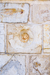 Fototapeta na wymiar Kalkstein mit Ammonit