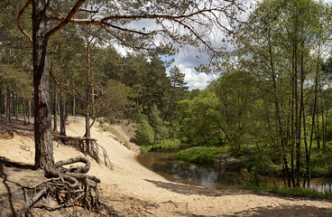 Panorama of forest river in the early spring.