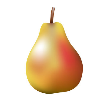 Vector illustration of a pear on a white background