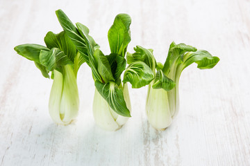 Pak Choi frisch von der Ernte