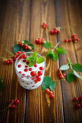 Fototapeta na wymiar sweet homemade yogurt with red currants