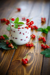 sweet homemade yogurt with red currants