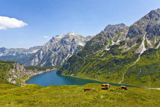 Almidylle am Tappenkarsee
