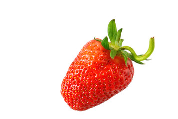 colorful of strawberry with white background 

