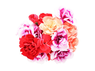 カーネーション