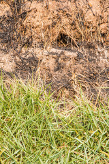 cracked ground after being hit by ground fire.