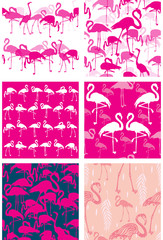 Fototapeta premium Set of Seamless patterns with flamingoes