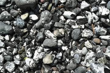 Steine am Steilufer des Jasmunder Nationalparks