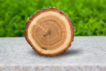 Tree Ring.