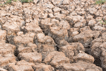 The ground water in the parched