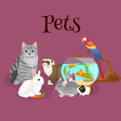 Home pets set, cat dog parrot goldfish hamster, domesticated animals