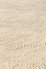 Fototapeta na wymiar Ebbe, am Meer, Sandwellen, Hintergrund, Küstenmotiv, Struktur