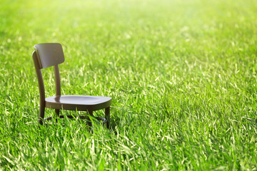 Black wooden chair on the wheat field