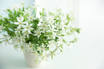 Bouquet of little white flowers on light background