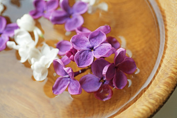 Fresh lilac flowers in the bowl, closeup