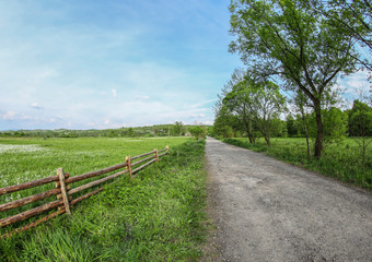 Green meadow with sunlight
