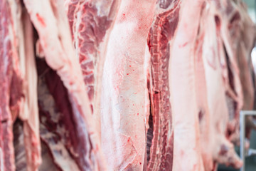 Schweinehälften hängen im Schlachthof zur Verareitung