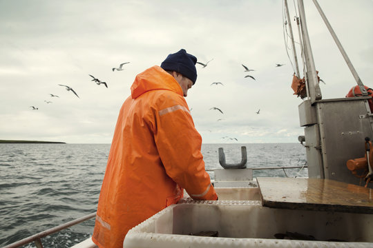 Fisherman Working In Boat