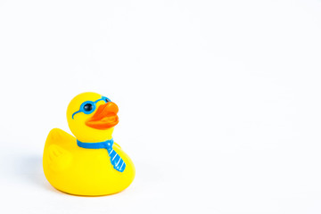 bath duck om white background,duck toy,Cute yellow rubber duck 