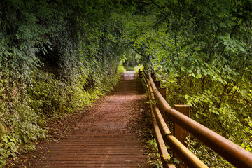 Bicycle path of Lambro river (Brianza, italy)