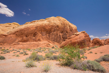 Fototapeta premium Beautiful cinematic deserted nature view under the blue cloudless sky in the American West