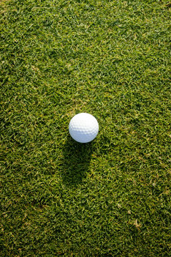 Overhead view of golf ball on grass