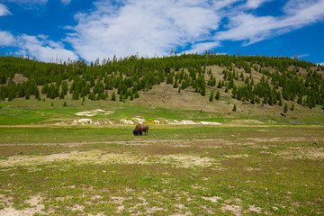 Beautiful cinematic view of nature landscape in the American West under the blue cloudy sky. Geyser.
