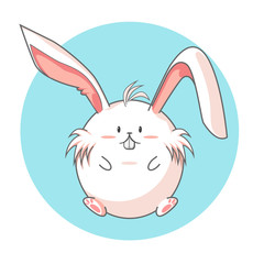 bunny