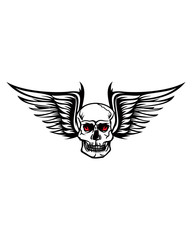 Wings Skull