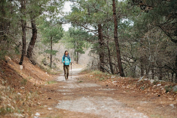 Hiker walking in pine forest